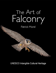 ARt of Falconry CoverScreen Shot 2018-09-05 at 1.37.52 PM
